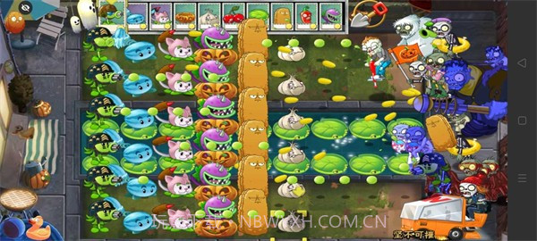 PvZ TV末日草坪随机版截图2