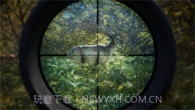 猎人:荒野的召唤正版截图2 猎人:荒野的召唤正版截图2