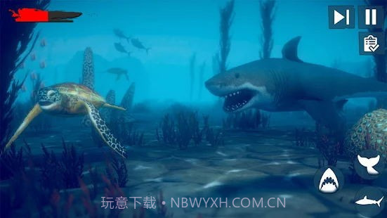 愤怒鲨鱼木筏生存截图1 愤怒鲨鱼木筏生存截图1