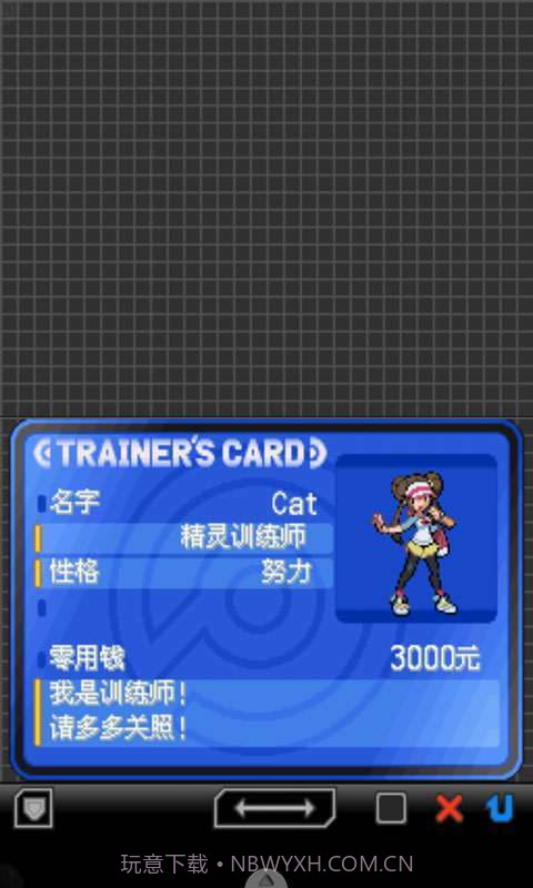 口袋妖怪-黑2截图4