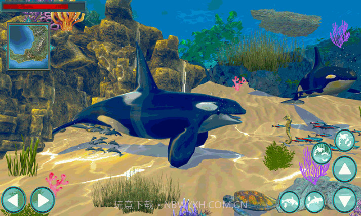 鲸鱼生存大作战截图1 鲸鱼生存大作战截图1