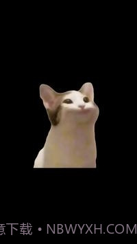 PopCat截图2 PopCat截图2