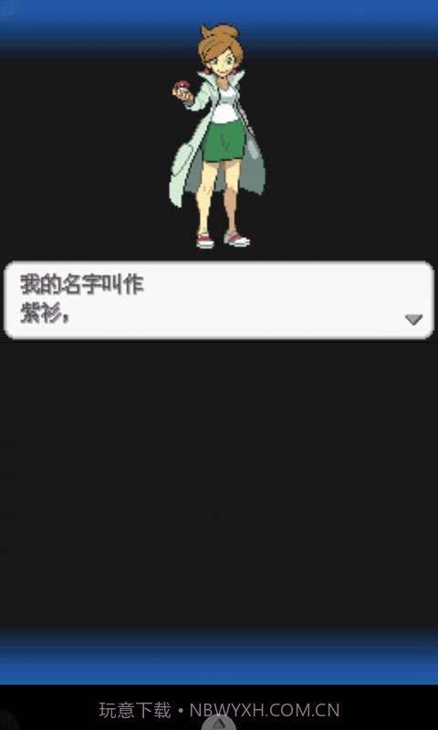 口袋妖怪-黑2截图1