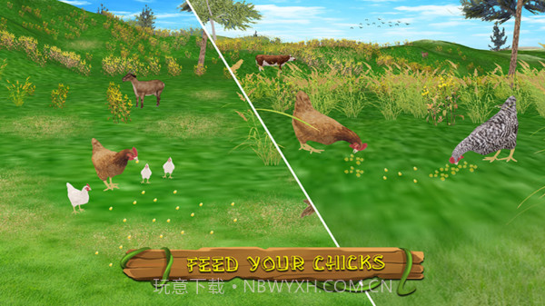 真实模拟鸡3D截图3 真实模拟鸡3D截图3