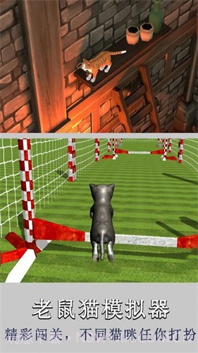 老鼠猫模拟器截图2