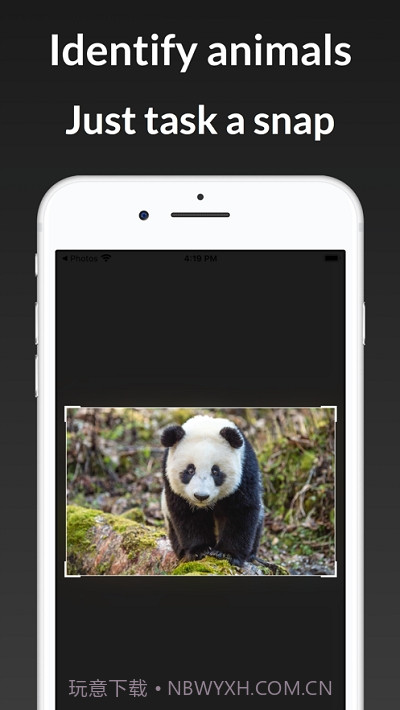 ianimal动物识别截图1