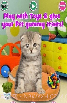 新生宠物兽医截图3