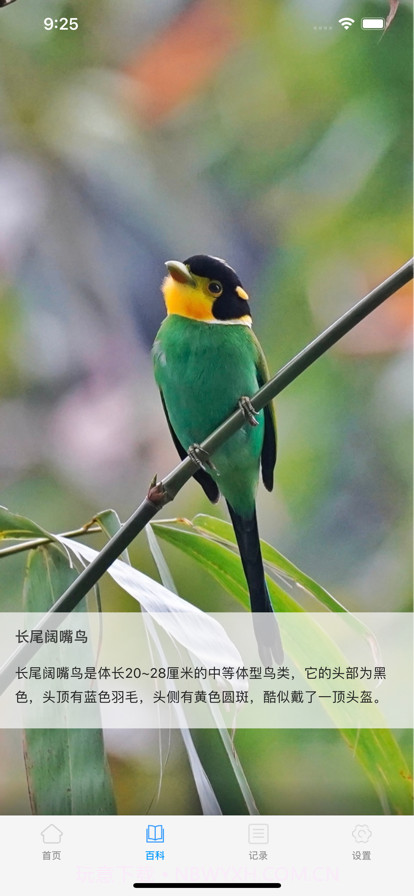 动物百科截图2