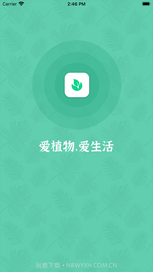 口袋绿植截图1