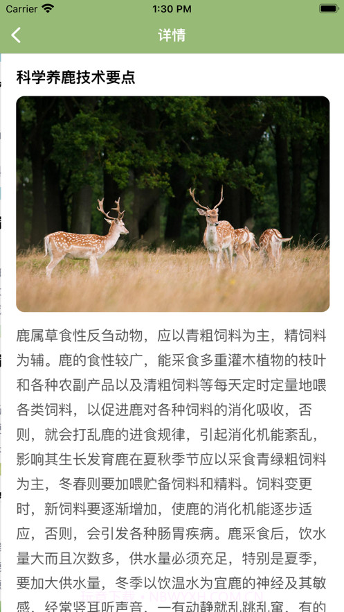 万鹿王截图3 万鹿王截图3