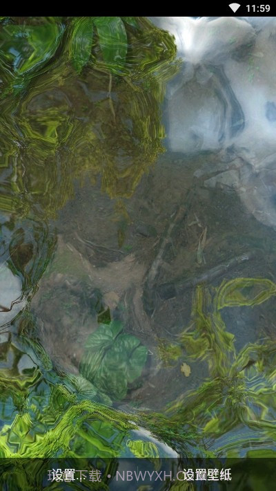 鱼池动态壁纸截图3