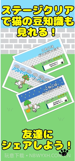 寻找路边消失的小猫截图3