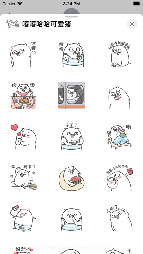 嘻嘻哈哈可爱猪截图3