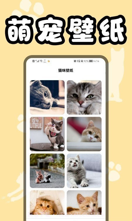 猫猫翻译器截图1 猫猫翻译器截图1