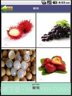 看图识字水果篇截图5 看图识字水果篇截图5