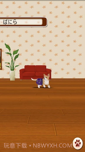 家有小狗截图3 家有小狗截图3