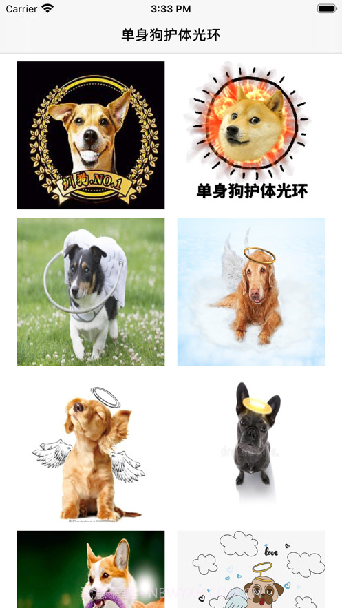 单身狗护体光环截图1 单身狗护体光环截图1