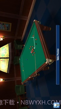 专业斯诺克2012截图2