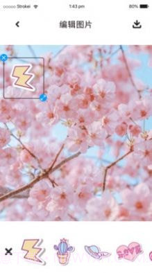 P图照片处理截图2