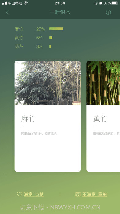 一叶识木截图3
