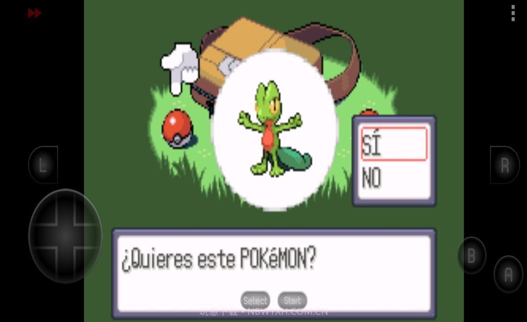 口袋妖怪红宝石中文版截图1 口袋妖怪红宝石中文版截图1