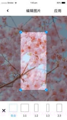 P图照片处理截图3