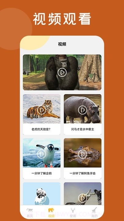 趣味动物园百科知识平台截图2 趣味动物园百科知识平台截图2