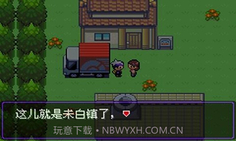 口袋妖怪漆黑的魅影5.0手机版截图4