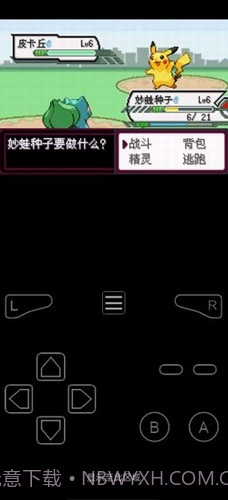 口袋妖怪最后的火红截图3