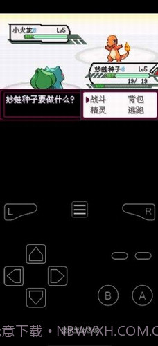 口袋妖怪最后的火红截图2