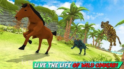 美洲狮模拟2020截图3