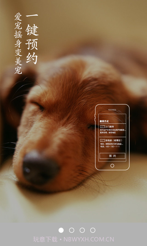 宠物家截图1 宠物家截图1