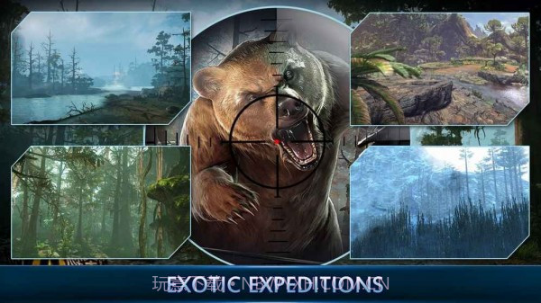 动物狙击手截图5 动物狙击手截图5