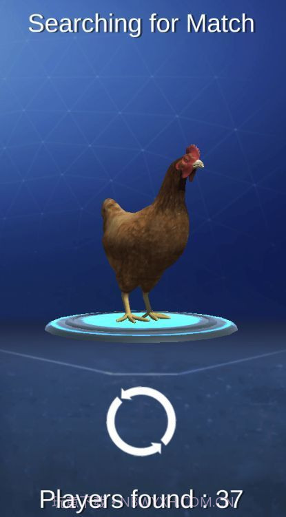 公鸡模拟器中文版截图3