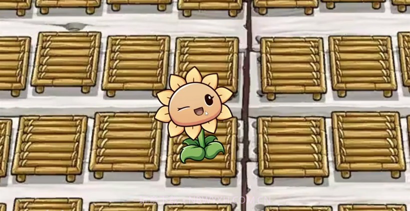 一株向日葵截图3