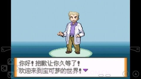 口袋妖怪：液体水晶截图2