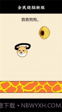 救救狗狗蜜蜂截图2 救救狗狗蜜蜂截图2