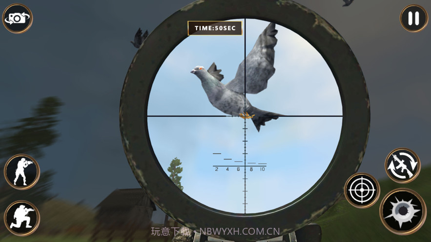鸽子狩猎截图1