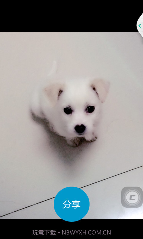 照片快享截图2 照片快享截图2