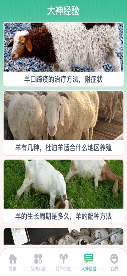 养羊指南截图2 养羊指南截图2