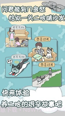 养只二哈不容易截图5 养只二哈不容易截图5