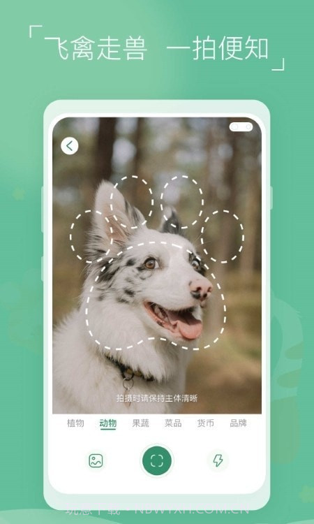 植物识别宝截图1