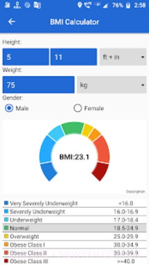 摩洛自行车截图3