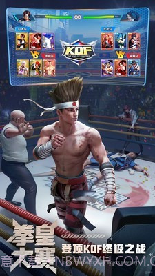 拳皇觉醒截图3