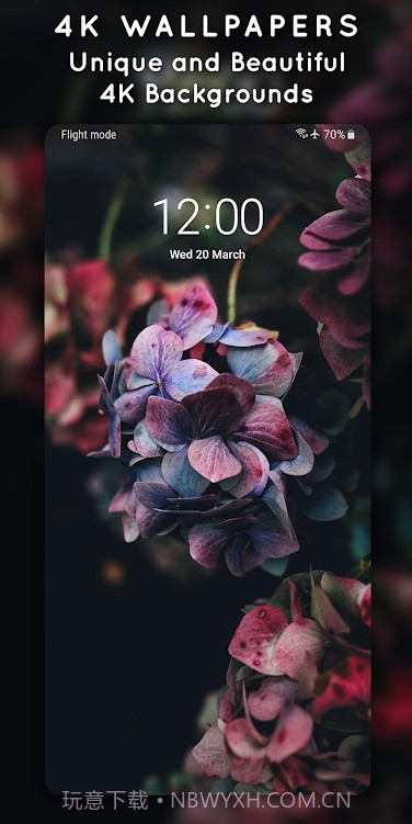 4K3D动态壁纸截图5