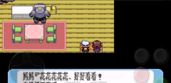 口袋妖怪火影忍者疾风传中文版截图2