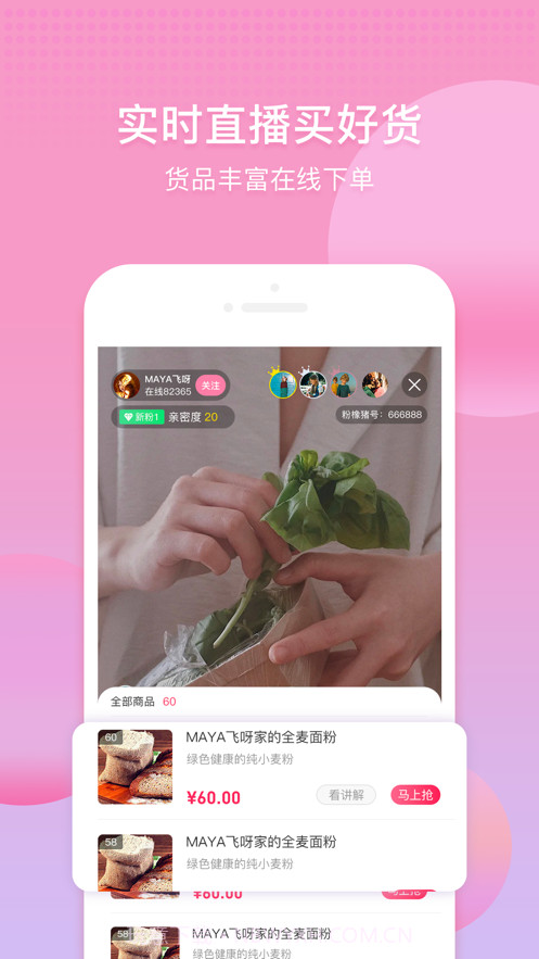 雾隐门截图3 雾隐门截图3