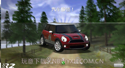Rush Rally 2截图1