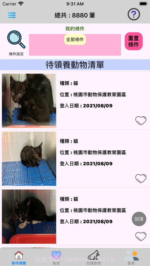 帮它找个家截图1 帮它找个家截图1