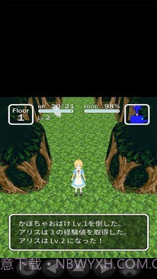 爱丽丝与不思议的迷宫截图5 爱丽丝与不思议的迷宫截图5